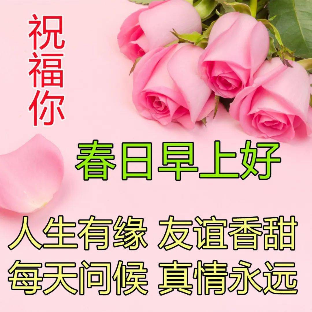 王嘉琪_王嘉琪这个名字怎么样_王嘉琪个人资料