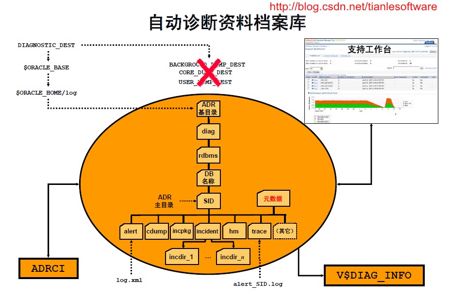 乱码1/2_乱码符号_oracle乱码