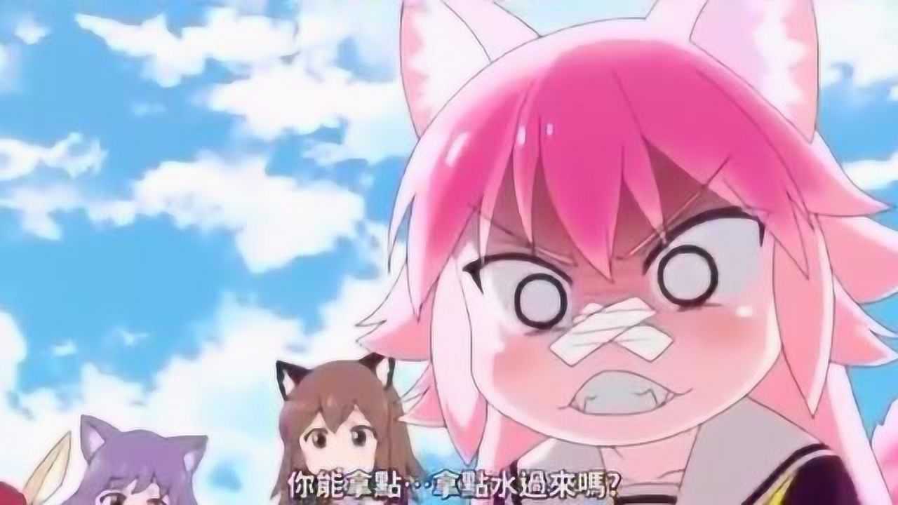逐群结队西顿学园_成群逐队西顿学院樱花动漫风车_成群逐队!西顿学园