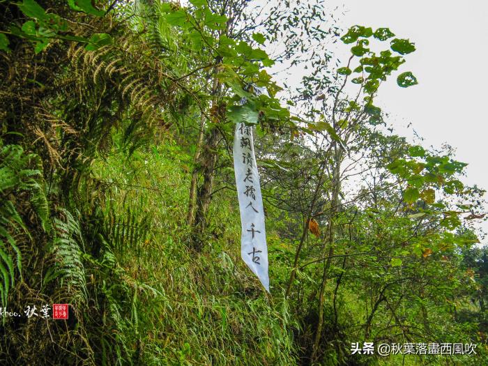 电视剧爱情不打烊_电视剧爱情而已_爱情而已电视剧