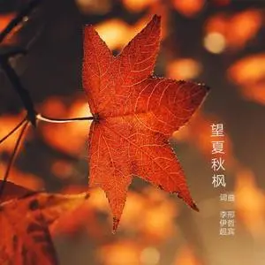 凋叶棕_凋叶棕_凋叶棕