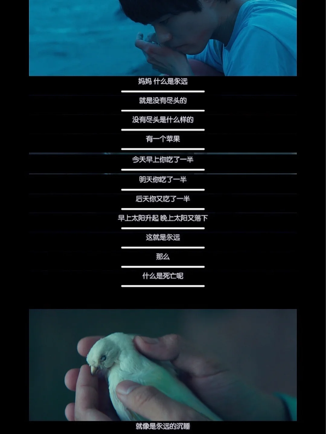 徐福在线看电视免费_徐福在线看电视免费_徐福在线看电视免费