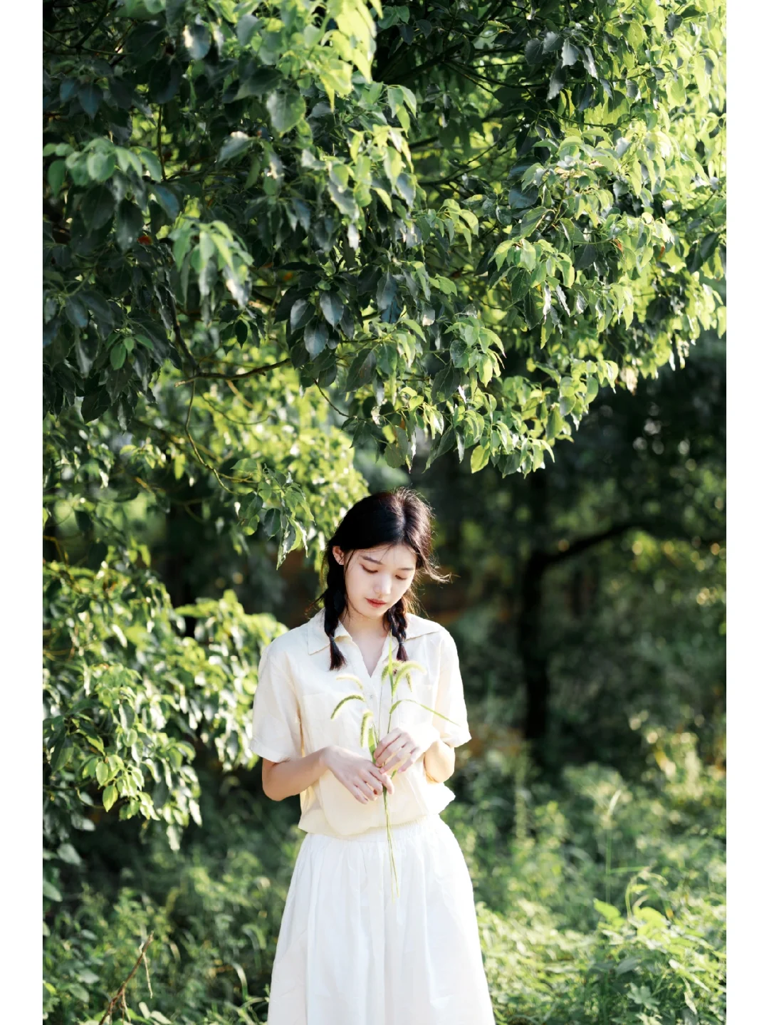 芭菈_芭菈芭拉小魔仙_芭菈菈