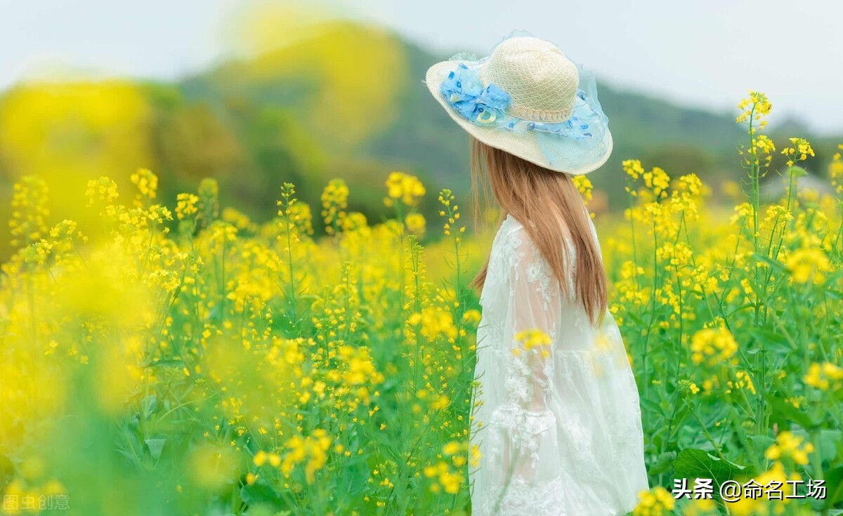 芭菈菈_芭菈_芭菈芭拉小魔仙