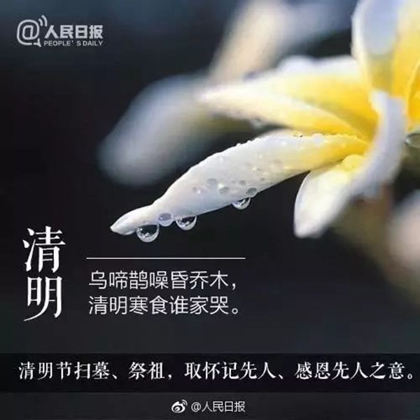 清明节禁忌手抄报_清明禁忌事项_清明禁忌