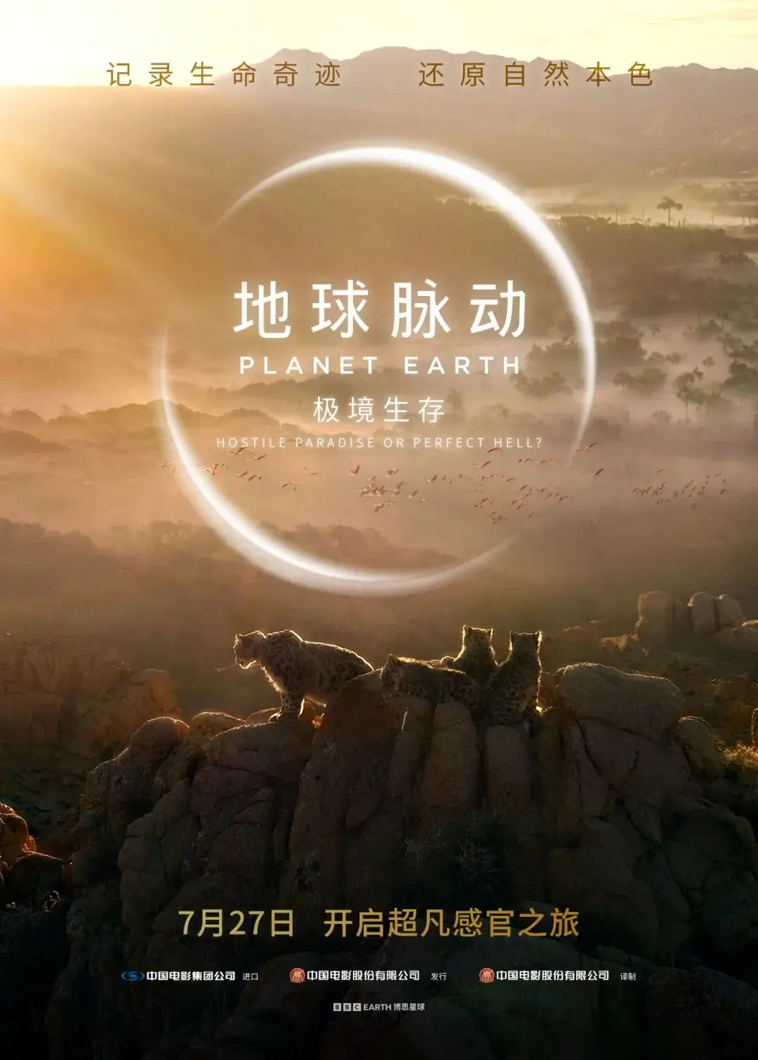 波仔电影在线观看_第五波电影免费观看完整版_波波夫视频免费观看