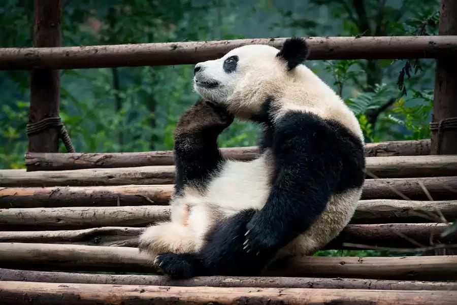 可爱小孩照片真人_玩手机游戏的小孩图片可爱_可爱小孩子手机壁纸