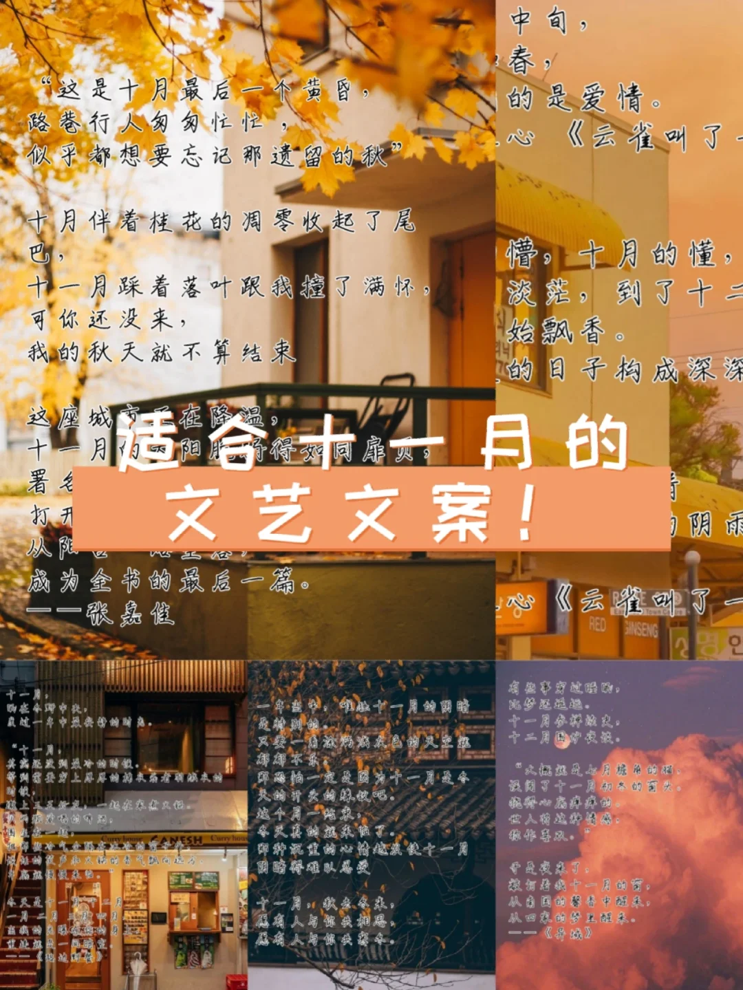谷雨是几月几日?_谷雨是公历的几月几日_谷雨谷什么意思
