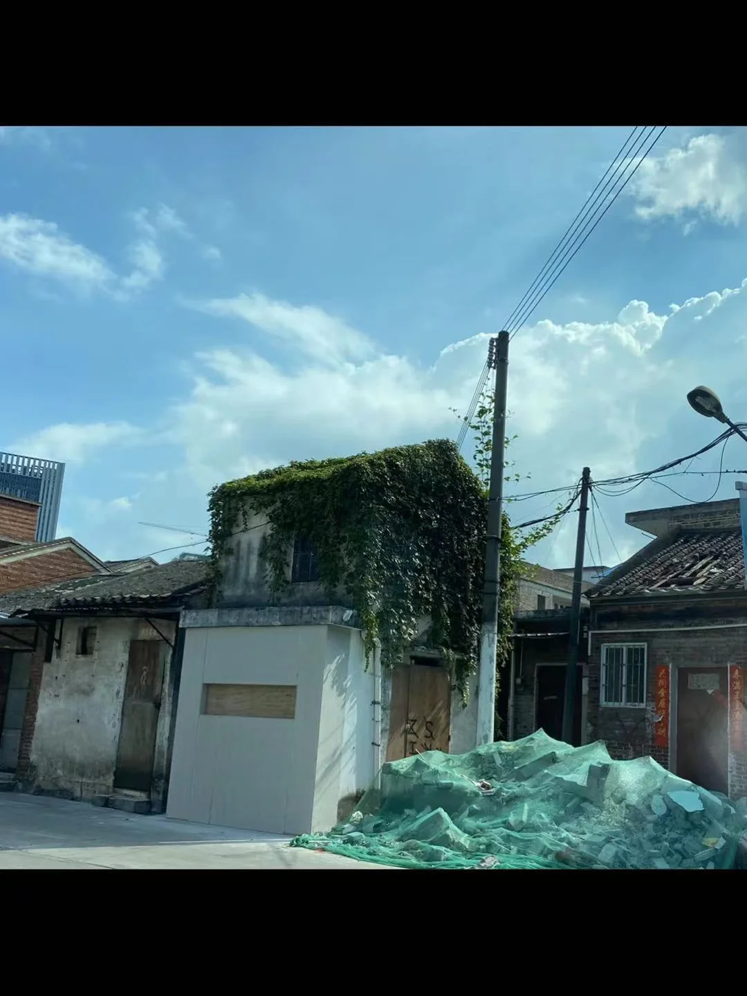 周防_周防尊_周防正行