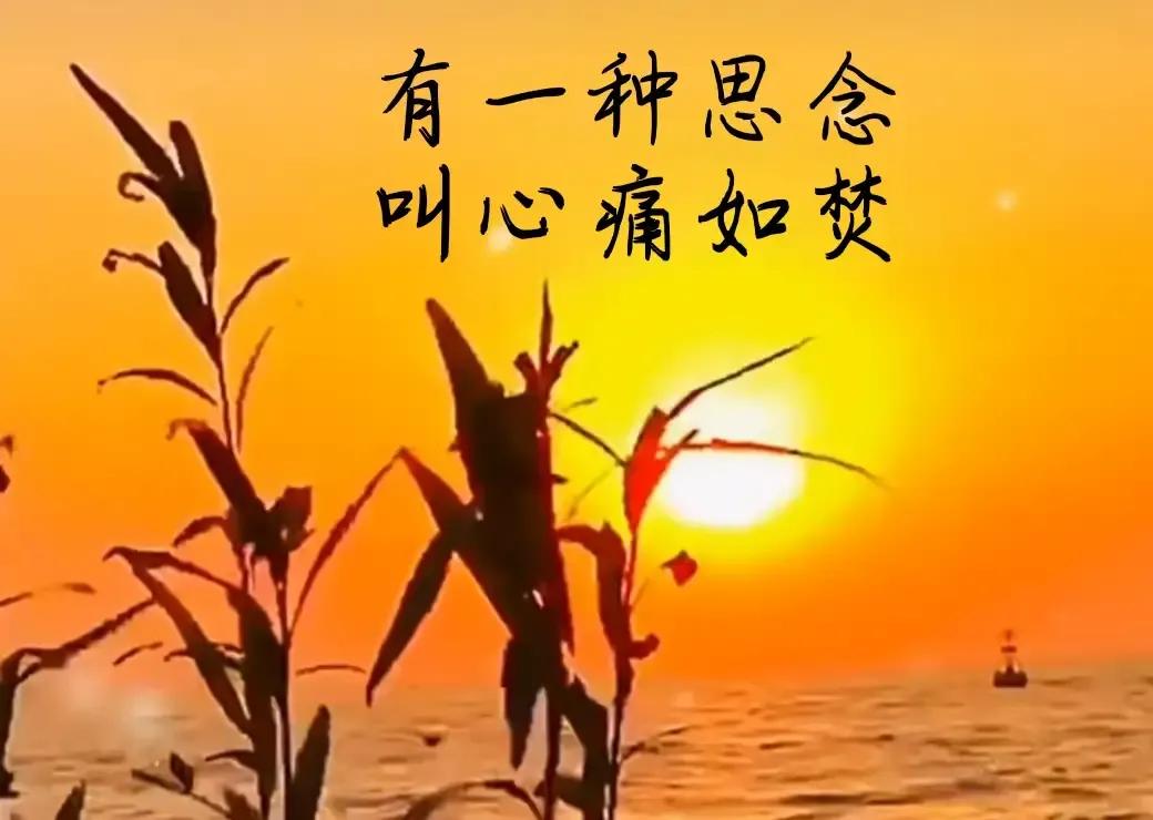 亚辛_阿米德亚辛_亚辛布努