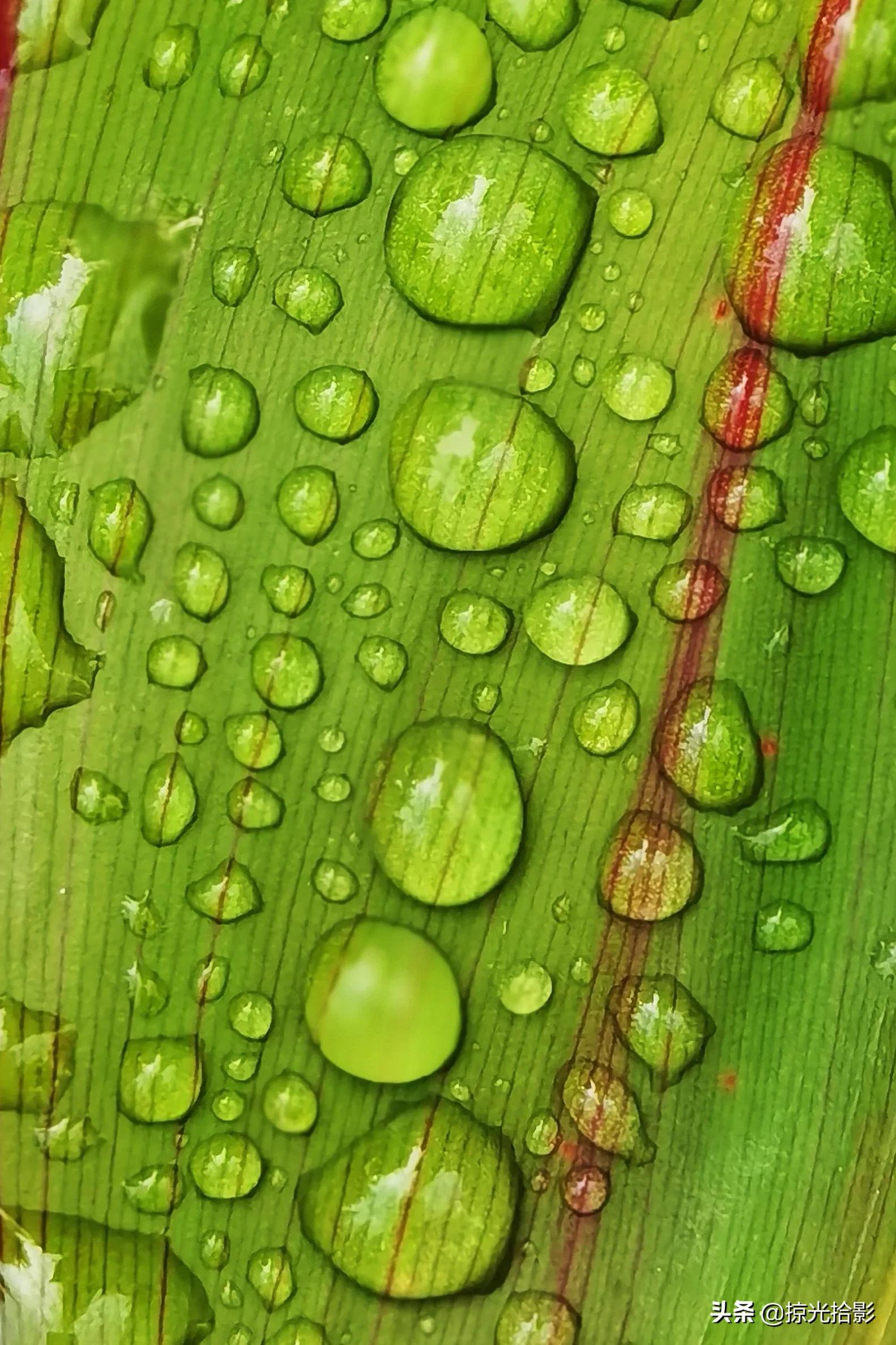 效果拍摄手机游戏有哪些_游戏手机拍摄效果_手机拍摄游戏视频软件