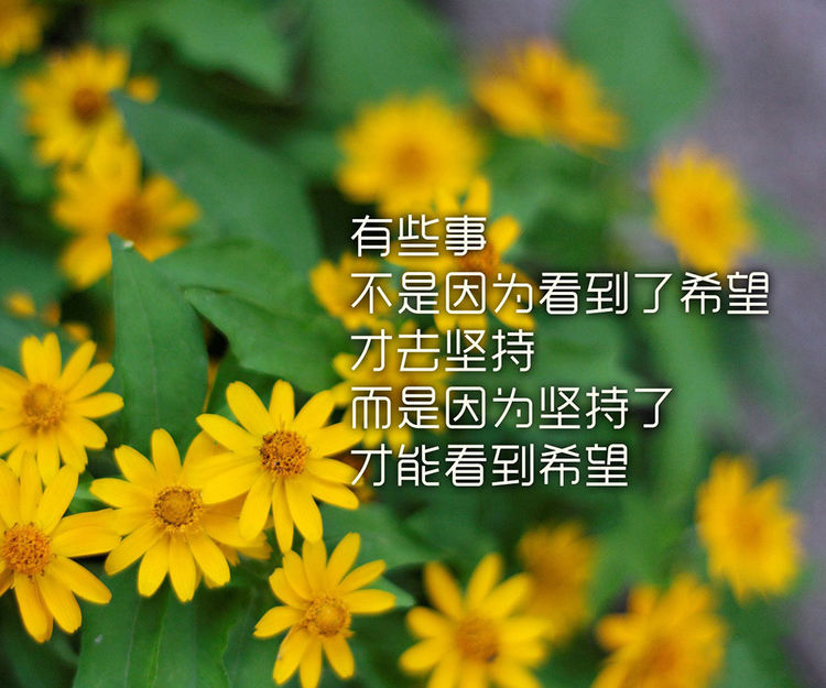校园经历是什么意思_校园性经历游戏手机版_校园经营类游戏