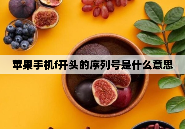 苹果开头的序列号f_苹果序列号开头fd_苹果11序列号f开头