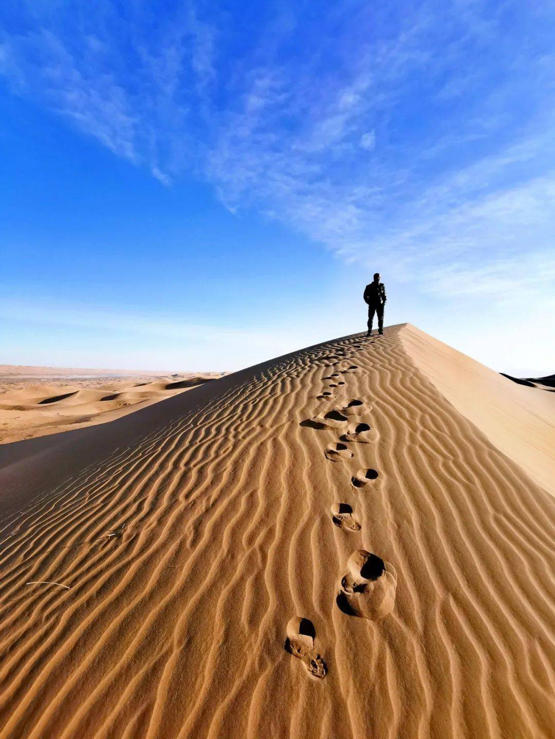 在阿尔托的世界里,寻找久违的平静与感动(图2) 阿尔托_阿尔托大学_阿尔托的冒险奥德赛
