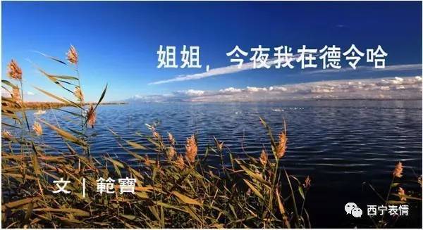 在阿尔托的世界里,寻找久违的平静与感动(图4) 阿尔托的冒险奥德赛_阿尔托_阿尔托大学