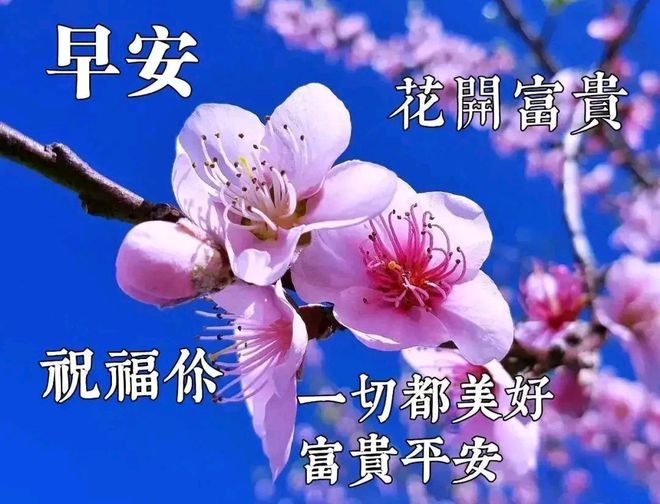 日子今天的日子_今日子_日子今天是什么日子