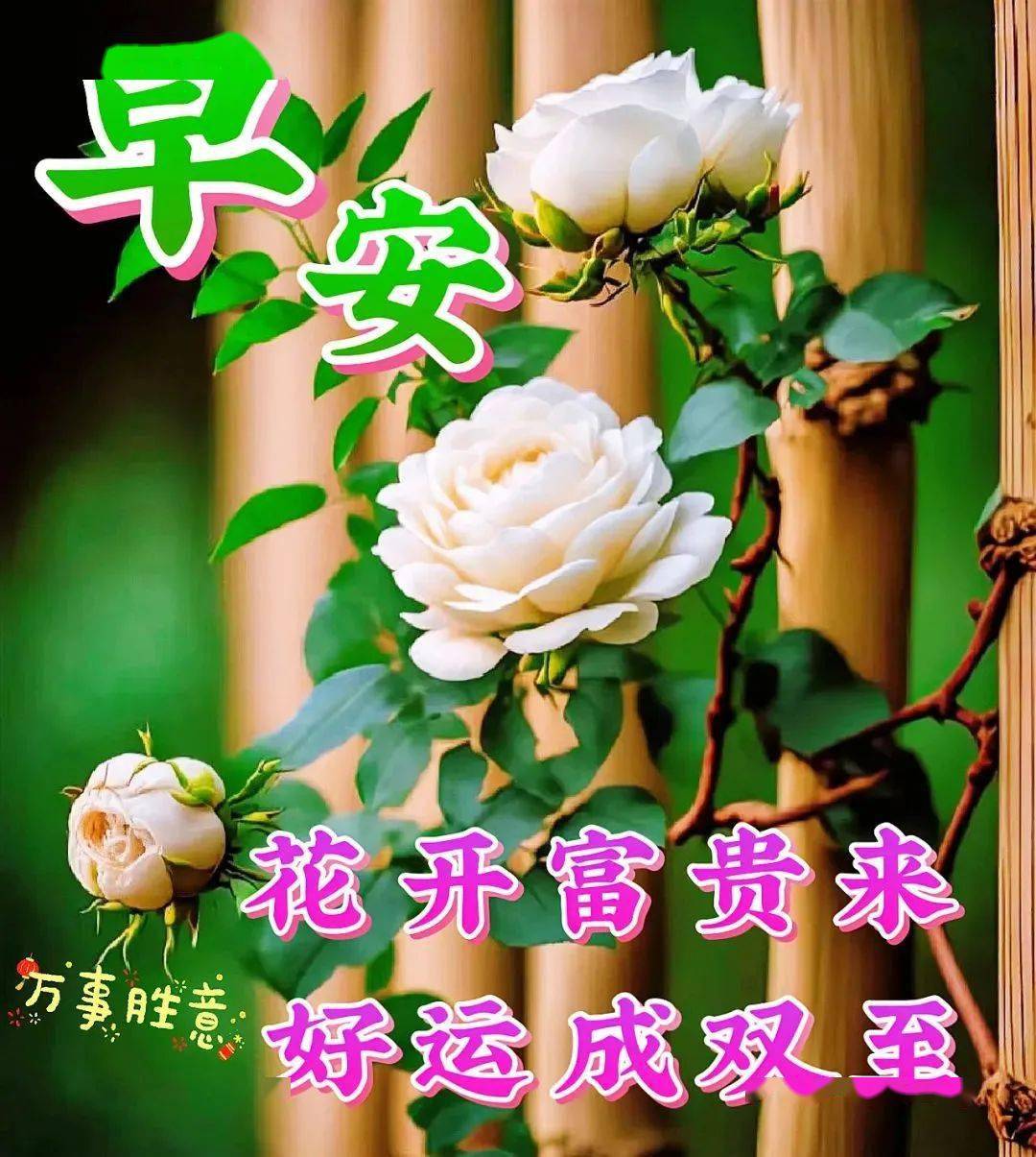 姚敏敏,我生命中不可或缺的那个人,你在哪里?(图2) 姚敏敏_姚敏敏_姚敏敏