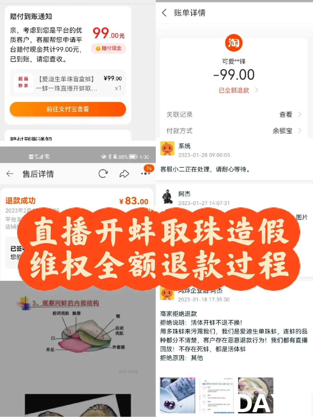 手机开直播玩游戏_手机直播游戏怎么弄窗口_手机直播游戏打不开怎么办