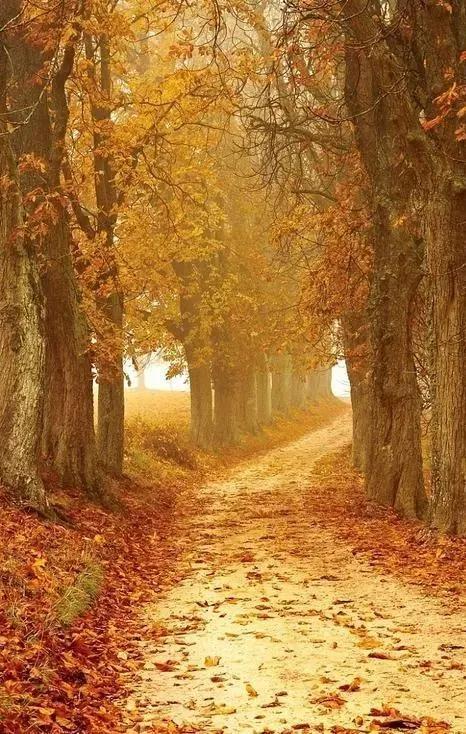 绝命空间站:最后一天的挣扎与绝望,氧气耗尽食物短缺,命运何去何从?(图4) 绝命空间站_百度空间排名站_命明空间