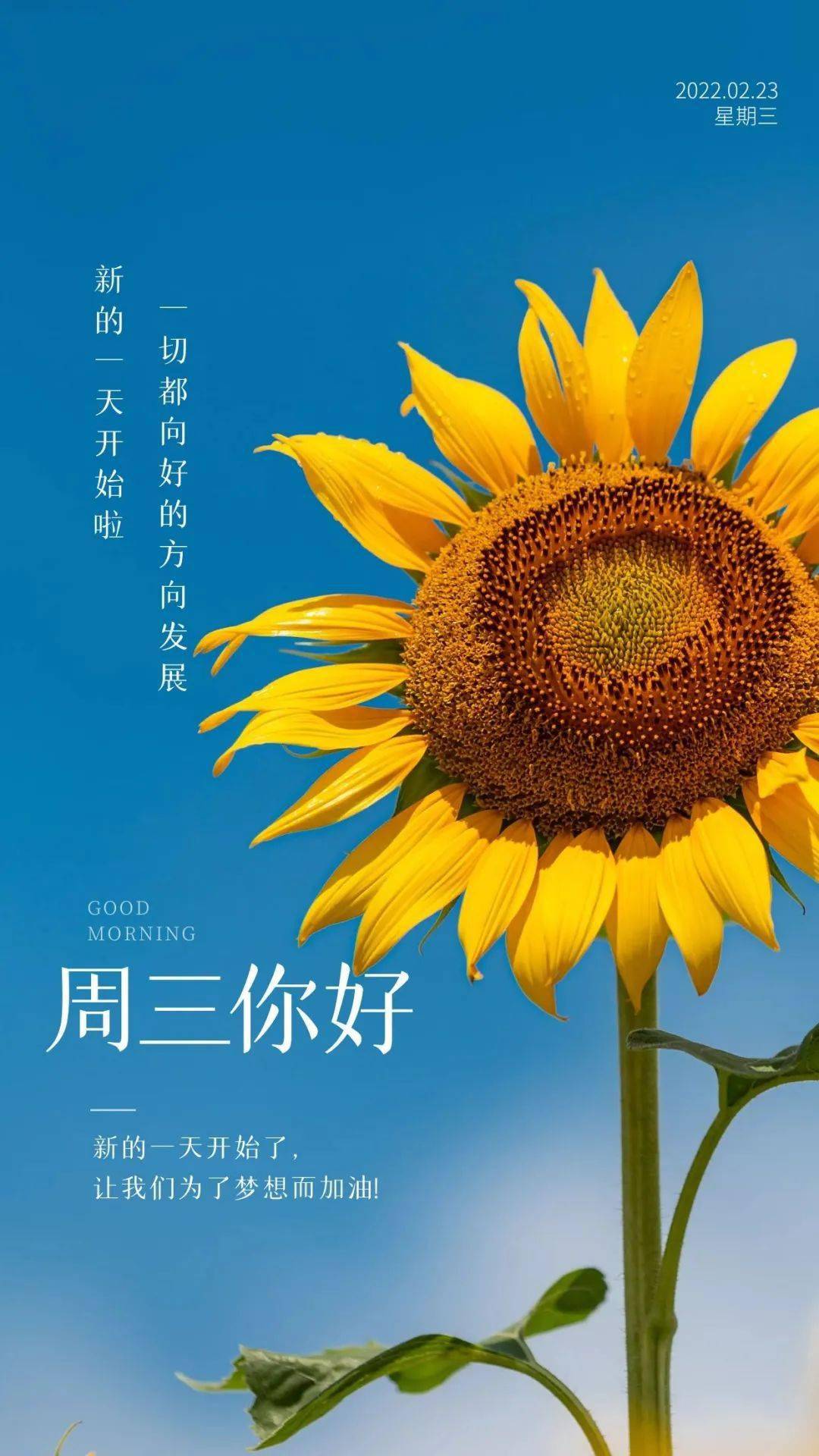日历今日财神方位_今日日历_日历今日宜忌
