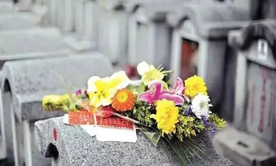 清明高速免费时间是_清明高速免费时间2021年_2023年清明节高速公路免费时间