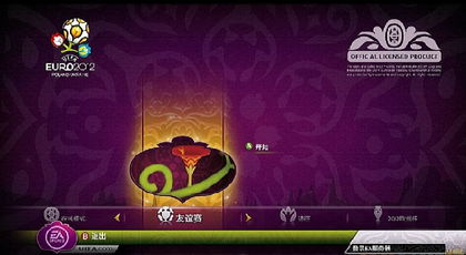 fifa2012中文下载,fifa2012中文(图3)