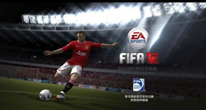 fifa2012中文下载,fifa2012中文(图4)