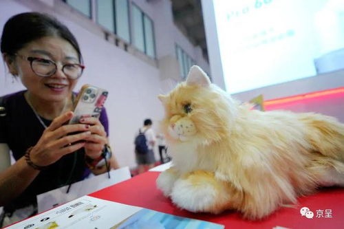 宠物猫机器人,未来家庭的温馨伙伴(图1)