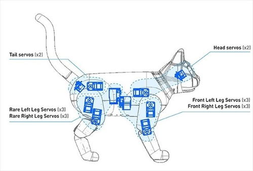 宠物猫机器人,未来家庭的温馨伙伴(图9)