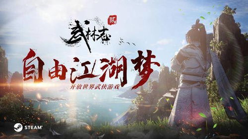 武林志2怎么那么卡,武林志2卡顿问题解析及解决方法(图2)