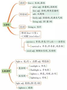 助记词填写技巧,轻松备份与恢复加密资产(图8)