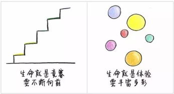 iq是什么意思,什么是IQ？(图6)