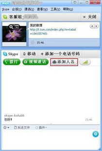 skype应用,跨越时空的沟通桥梁(图9)