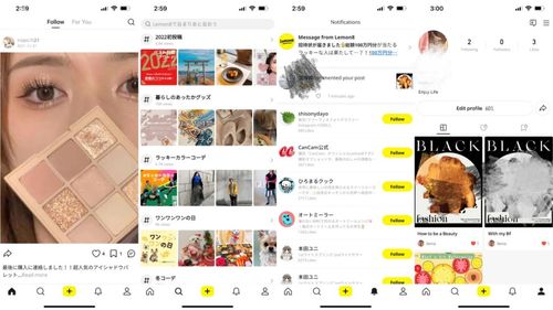 小黄书网站,网络色情内容的灰色地带(图3)