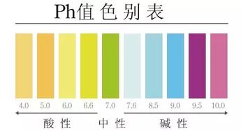 辽ph2205,勇敢的街头摄影瞬间(图4)