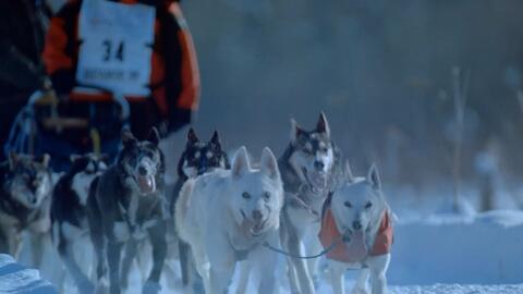 wild west alaska the ghost of hans,The Ghos of Has(图1) wild west alaska the ghost of hans,The Ghos of Has(图1)