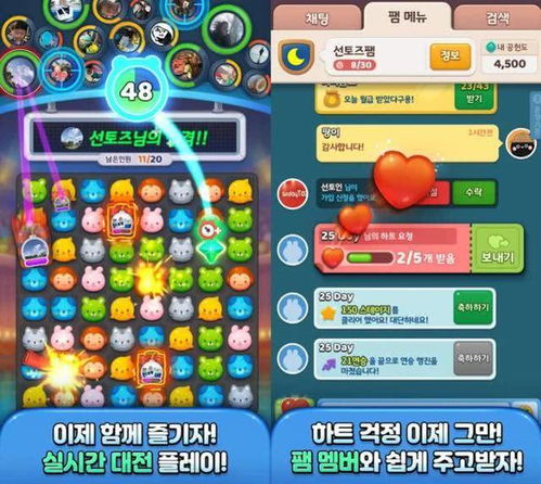 anipang 国民级游戏,国民级游戏的魅力与传承(图6)