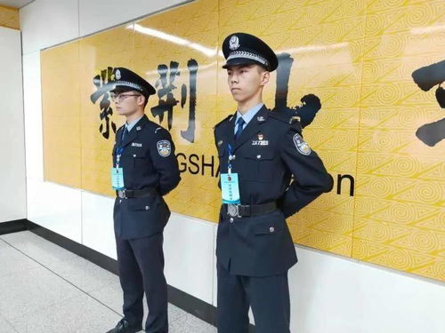 这是警察,警察——守护平安的守护者(图10)