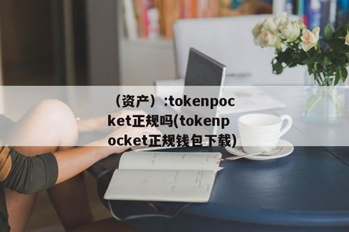 tokenpocket钱包正版,TokePocke钱包正版下载与使用指南(图1)