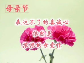 关于母亲节的祝福语,母亲节的温馨祝福，感恩母爱的伟大(图7)