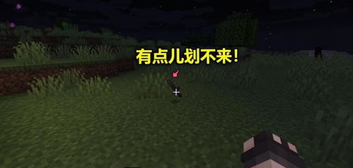 下界合金剑,Miecraf中的传奇武器(图10) 下界合金剑,Miecraf中的传奇武器(图10)