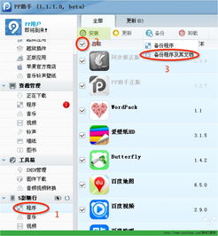 苹果ipadi 越狱 7.0.4,操作指南与注意事项(图3)