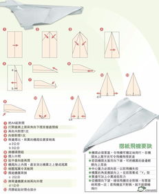 纸飞机语言怎么个性设置,纸飞机语言个性设置指南(图1)