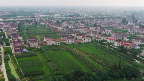 长兴村,多地域特色，展现乡村魅力(图2)