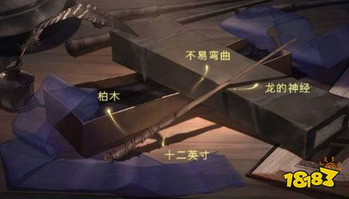 暗黑4魔杖和法杖(图5) 暗黑4魔杖和法杖(图5)