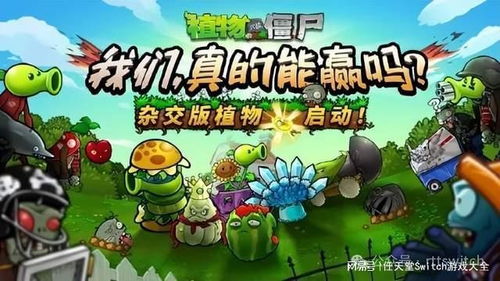 植物大战僵尸新开发的游戏,经典IP再创新高(图5)