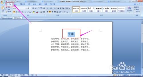 最新纸飞机怎么设置中文版教程, 引言(图8)