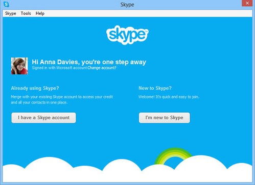 skype程序,跨越时空的沟通桥梁(图11)