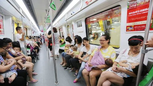 地铁曙光乳摇,地铁曙光乳摇，探寻都市地下世界的独特魅力(图4)