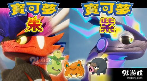 宝可梦6,探索新世界的冒险之旅(图4) 宝可梦6,探索新世界的冒险之旅(图4)